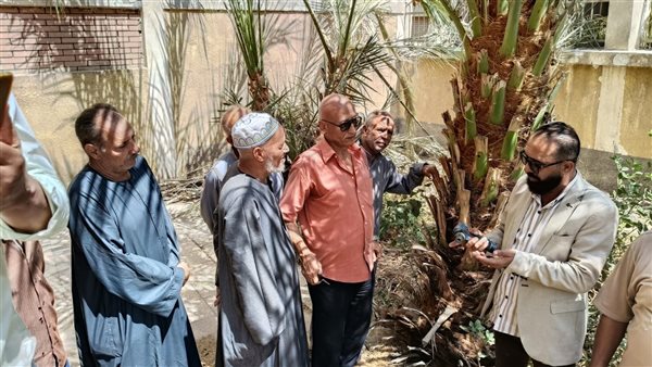 “المركزي للنخيل” ينظم محاضرة إرشادية بالمنيا