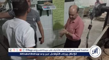 تموين المنيا يحرر 130 محضرًا خلال حملات على المخابز والأسواق