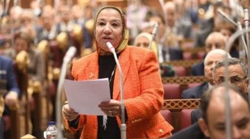 زيارة السيسي لتركيا تاريخية وتوقيتها مهم في ظل الأوضاع بالمنطقة