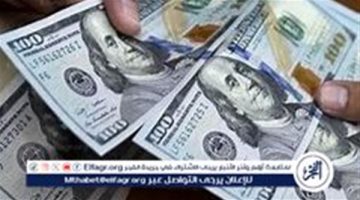 سعر الدولار اليوم أمام الجنيه 13/9/2024 بجميع البنوك المصرية