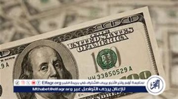 سعر الدولار اليوم الأربعاء 25-9-2024 في البنوك