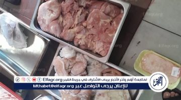 صور.. بيطري الأقصر يضبط دواجن ومصنعات لحوم غير صالحة للاستهلاك الآدمي