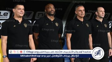 عاجل.. قرار جديد من جوميز في الزمالك