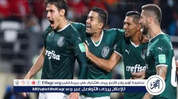 فوز ثمين لبالميراس وسقوط ساو باولو في الدوري البرازيلي