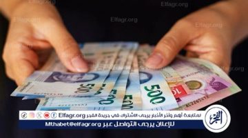 متوسط أسعار العملات العربية والأجنبية في مصر اليوم 2 سبتمبر 2024