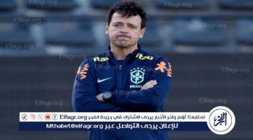 مدرب البرازيل السابق دينيز يتولى الإشراف على كروزيرو