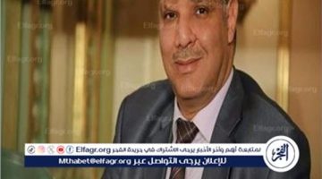 مصر تقف موقفا محايدا في الأزمة السورية