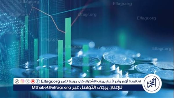 مصر قدمت صورة متكاملة في مجال تكنولوجيا المعلومات