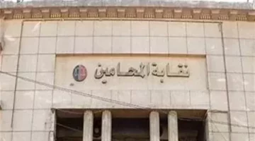 نقيب المحامين يحيل المحامي هاني سامح إلى التحقيق بعد تصريحات المساكنة