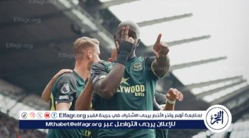 هدف “ويسا” ليس بينها.. قائمة أسرع 15 هدفًا في تاريخ الدوري الإنجليزي