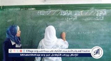 “هيئة تعليم الكبار” يكشف تفاصيل المبادرة الرئاسية للقضاء على الأمية في مصر (فيديو)