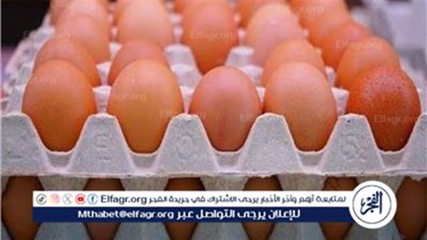 وصول سعر كرتونة البيض 170 جنيها “لا تعد زيادة”