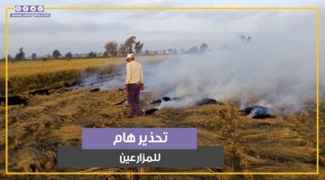 تحذير هام للمزارعين خلال الـ48 ساعة القادمة.. ما القصة؟ (فيديوجراف)