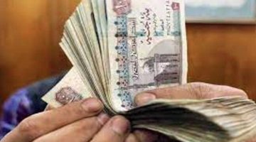 بعد تخفيض 3 بنوك خاصة سعر الفائدة على شهادات الادخار.. خبير مصرفي يكشف السبب