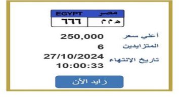 سعرها 250 ألف جنيه.. مزايدة على لوحة سيارة مميزة تحمل رقم «ه م م 666»