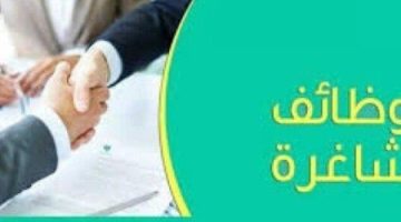 محافظة الجيزة تعلن عن وظائف خالية.. الشروط والأوراق المطلوبة