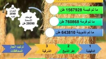 الزراعة: حصاد 94% من المساحات المنزرعة بمحصول الأرز