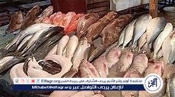 أسعار المأكولات البحرية والجمبري اليوم الخميس 31-10 -2024 في محافظة الدقهلية