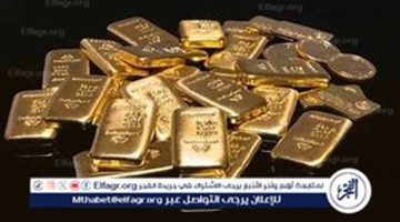 استقرار سعر الدولار اليوم السبت 26 أكتوبر 2024 في مصر