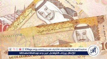 استقرار سعر الريال السعودي اليوم الثلاثاء 29 أكتوبر 2024 مقابل الجنيه المصري