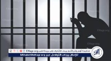 المشدد 15 عاما لـ3 متهمين لشروعهم في قتل شخص بالقليوبية