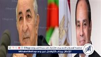 دبلوماسي سابق: لقاء الرئيس السيسي بنظيره الجزائري دفع علاقات التعاون بين البلدين