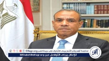 وزير الخارجية: مصر تقدم كل المساعدات لدول الساحل الإفريقي لمكافحة الإرهاب