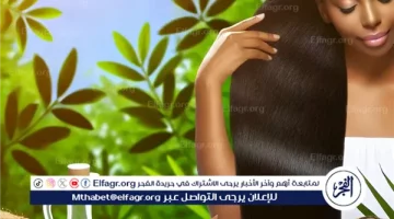 وصفة لتطويل الشعر بشكل طبيعي