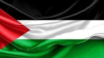 مصر تحيي اليوم الدولي للتضامن مع الشعب الفلسطيني