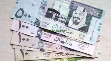 كم سعر الريال السعودي أمام الجنيه المصري اليوم الجمعة 29-11-2024؟