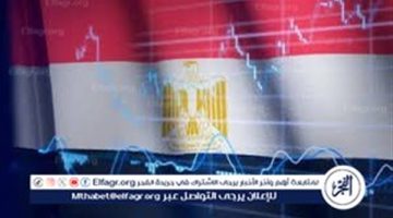 50 مليار دولار حجم النمو في الاقتصاد المصري بحلول 2030