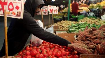 «شعبة الخضراوات»: نمو الصادرات الزراعية واعتماد السياحة على الإنتاج المحلي