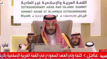 ولي العهد السعودي يؤكد على ضرورة قيام دولة فلسطينية