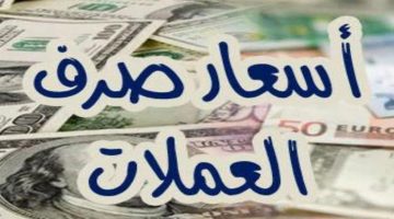 “العملات رافعه فوق ” أسعار العملات اليوم في السوق السوداء في مصر الاحد 3 نوفمبر 2024 مقابل الجنيه المصري