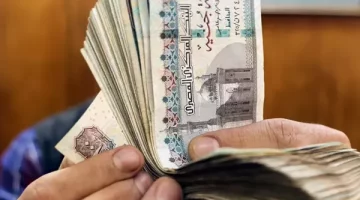 كيفية الحصول على معاشين من التأمينات: بدل المعاش مرتين لتعزيز مستقبلك المالي