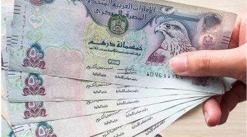 سعر الدرهم الإماراتي مقابل الجنيه المصري اليوم الجمعة 29 نوفمبر 2024