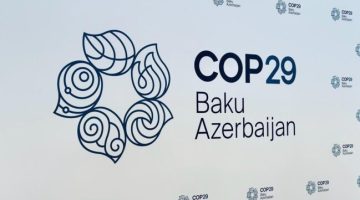 السفير مصطفى الشربينى: إقرار معايير سوق ائتمان الكربون العالمية بـ«cop 29» خطوة مهمة