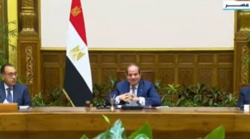 الرئيس السيسي: مصر بذلت جهدا كبيرا لتوفير بيئة مناسبة لتطوير الصناعة