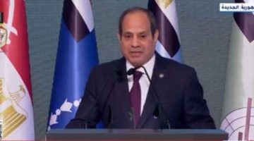 الرئيس السيسي يؤكد موقف مصر الداعم للبنان وسيادته وسلامة أراضيه