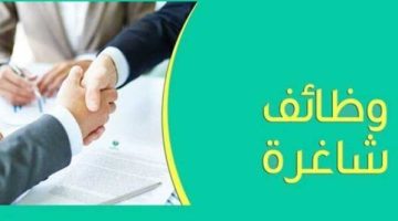 خبرة وبدون.. «الشباب والرياضة» توفر فرص عمل |تفاصيل