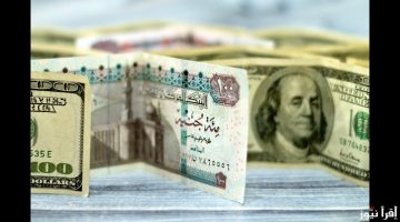 سعر الدولار اليوم مقابل الجنيه المصري الثلاثاء 5 نوفمبر 2024 في السوق السوداء والبنوك المختلفة