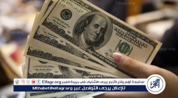 أسعار الدولار أمام الجنيه في البنوك المصرية اليوم 16 نوفمبر 2024