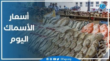 أسعار السمك اليوم الأربعاء 27-11-2024 في الدقهلية