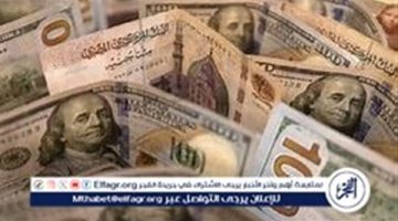 استقرار سعر الدولار أمام الجنيه المصري اليوم الثلاثاء 26 نوفمبر 2024