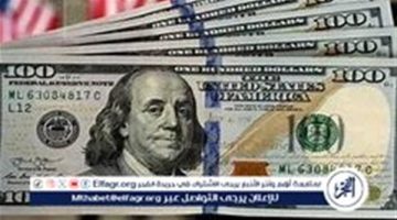 استقرار سعر الدولار مقابل الجنيه المصري اليوم الإثنين 25 نوفمبر 2024