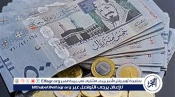 استقرار سعر الريال السعودي اليوم الثلاثاء 12 نوفمبر 2024 أمام الجنيه المصري