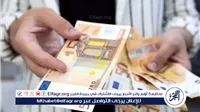 استقرار سعر اليورو أمام الجنيه المصري اليوم