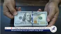 الأخضر يسجل أرقام جديدة: ارتفاع ملحوظ في سعر الدولار أمام الجنيه المصري في نوفمبر 2024