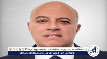 السفير محمد الشناوي متحدثًا رسميًا لرئاسة الجمهورية: مسيرة حافلة بالإنجازات الدبلوماسية