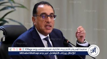 السيسي جدد دعوته بشأن قدرة مصر على استضافة مركز عالمي لتجميع الحبوب